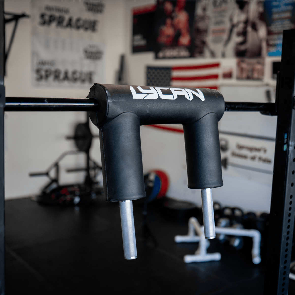 Safety Squat Bar