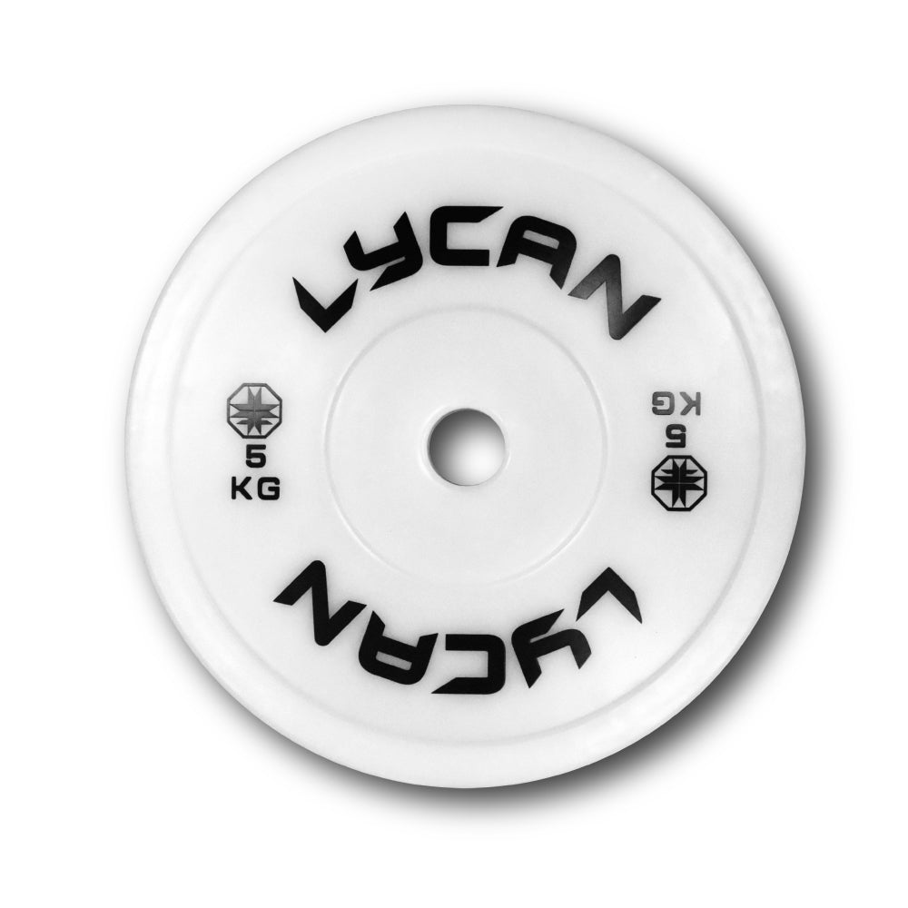 Placas de técnica (par)