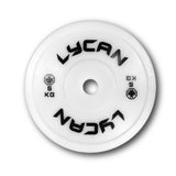 Placas de técnica (par)