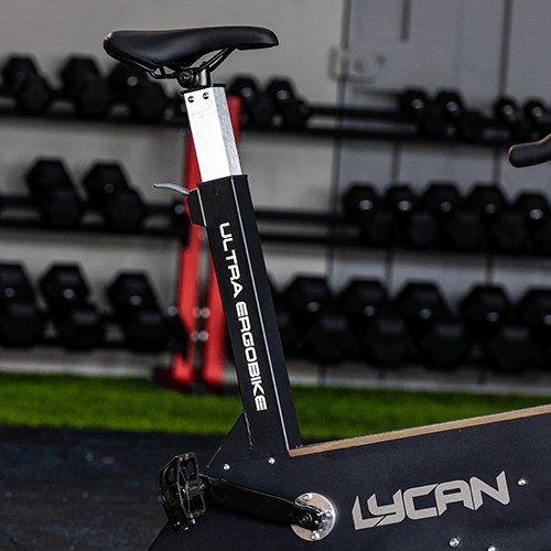 ErgoBike Elite