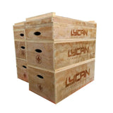 Wooden Jerk Blocks Set